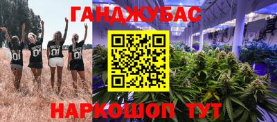 мдпв Гусев