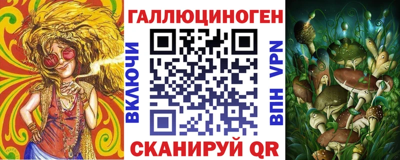 Псилоцибиновые грибы Psilocybe Конаково