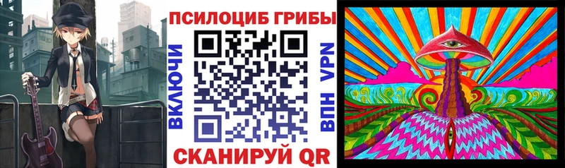 OMG   Конаково  Псилоцибиновые грибы MAGIC MUSHROOMS 