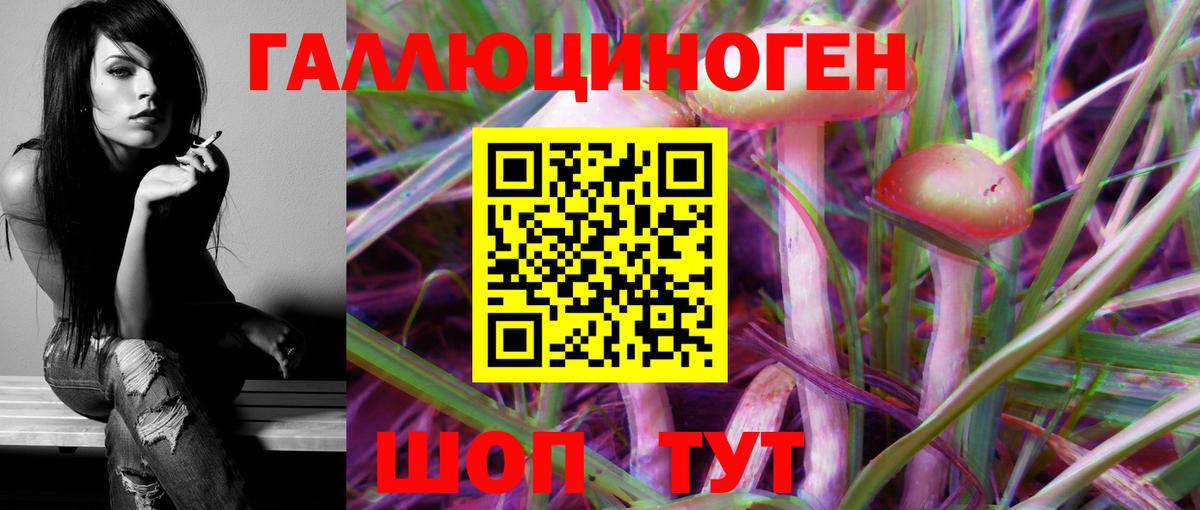 Псилоцибиновые грибы Cubensis  Псилоцибиновые грибы Psilocybe  Вход с VPN  Конаково 